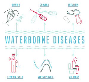Waterborne Diseases Areas for Travelers