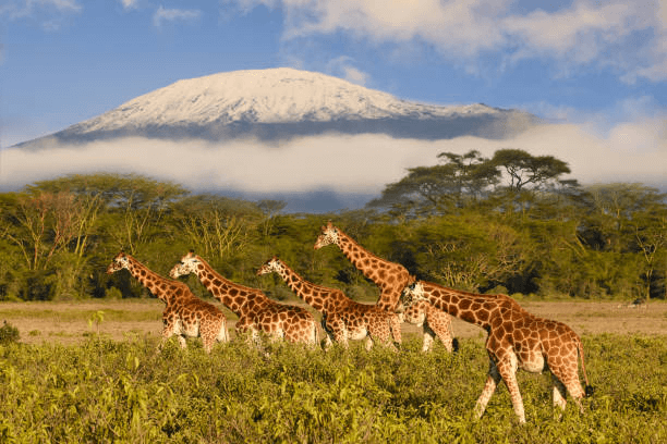 Tanzania Adventure: Must-See Tourist Attractions