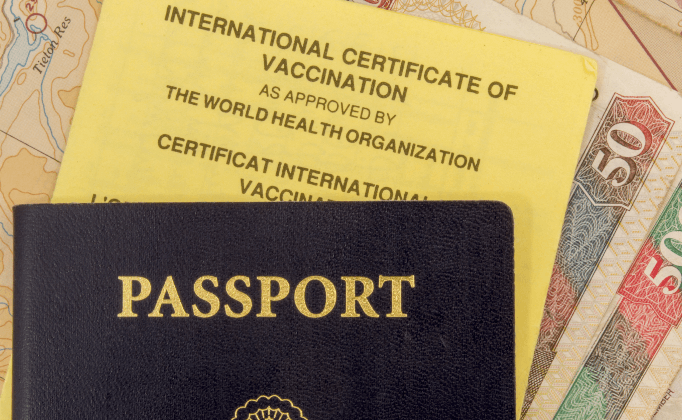 Yellow Fever Vaccination Rules While Traveling