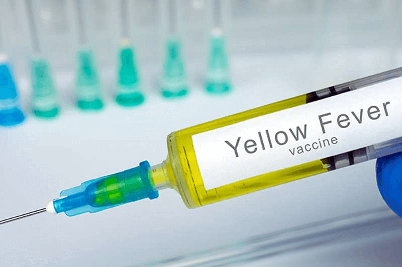 Yellow Fever Vaccination Rules While Traveling
